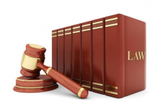 刑事責(zé)任是什么意思